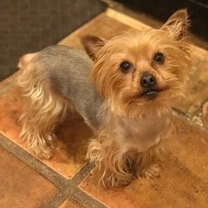 Meet your Posher, Denise